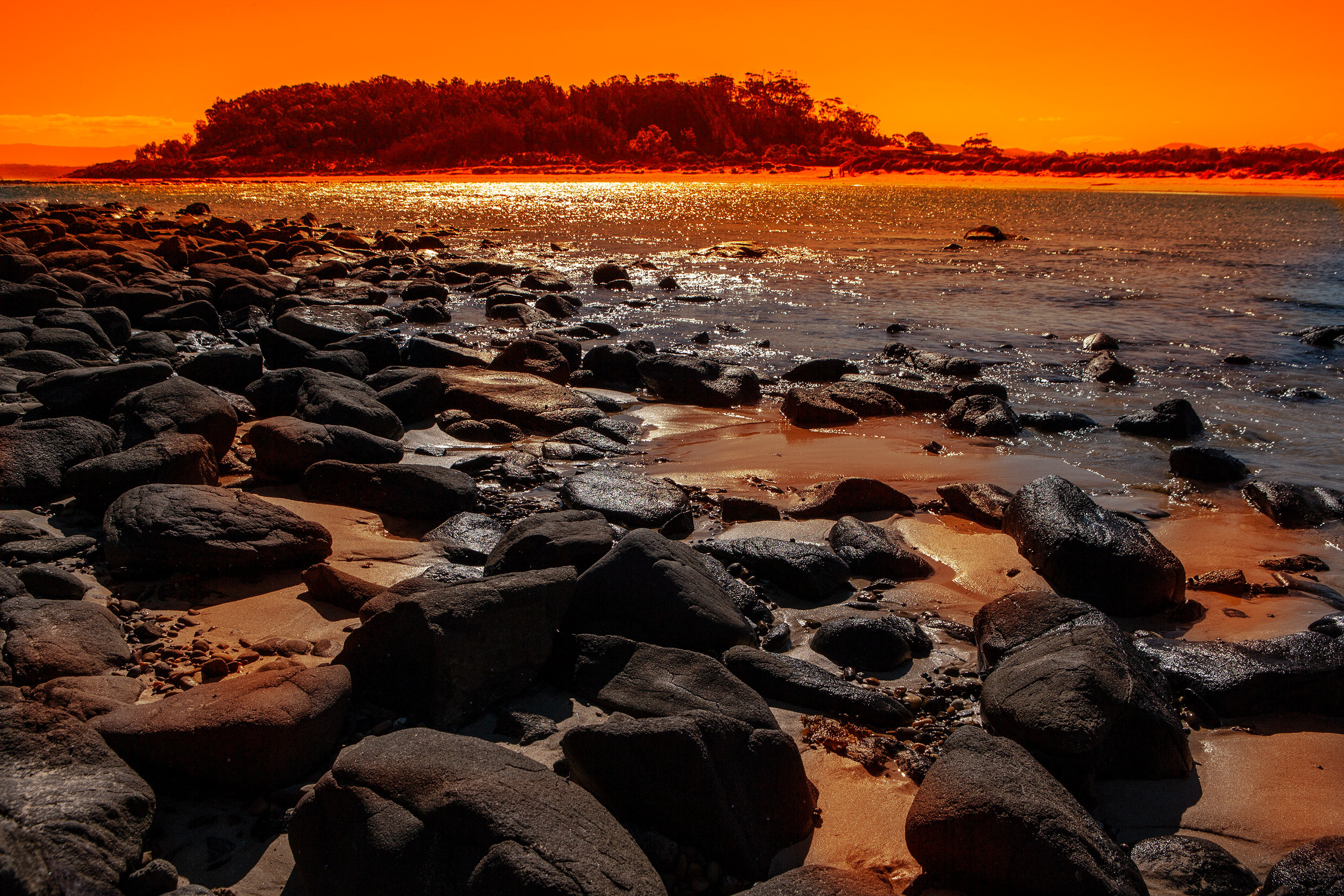 The after sun web wp204i