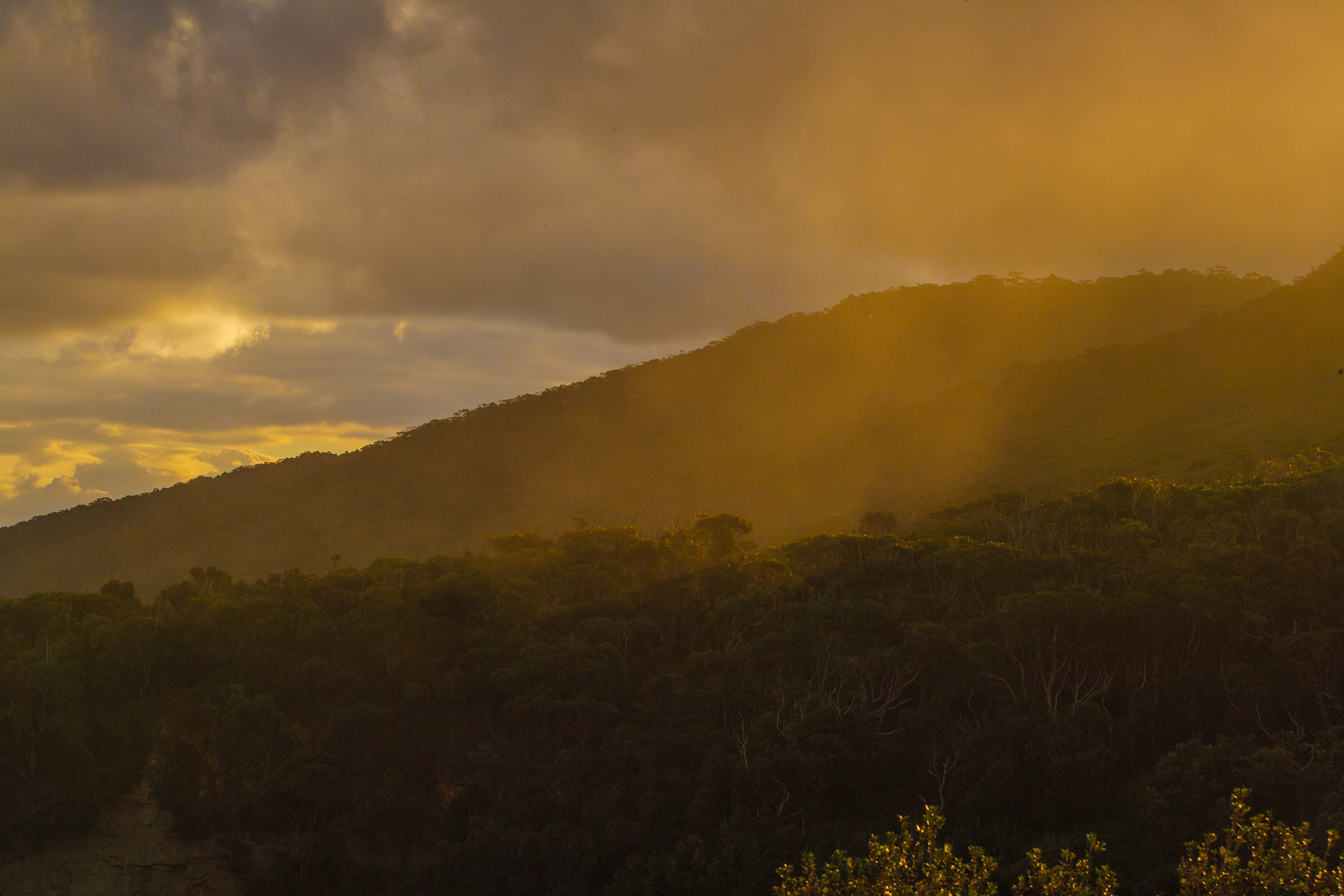 Morning mist  web dmcqc1