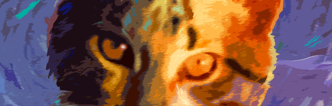 
        <div class='title'>
          13217210213
        </div>
       