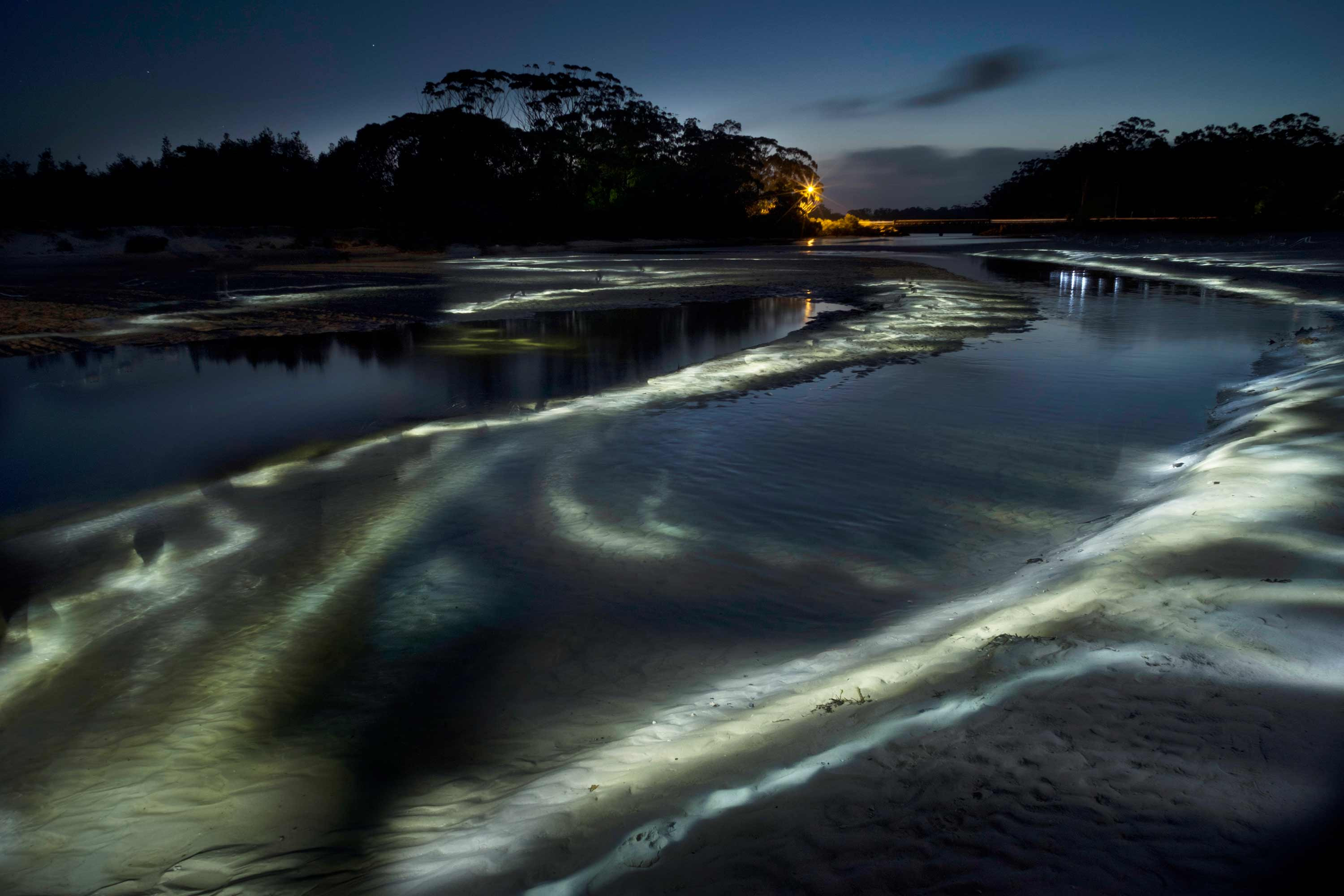 Moona moona creek web by anastase usbuvt