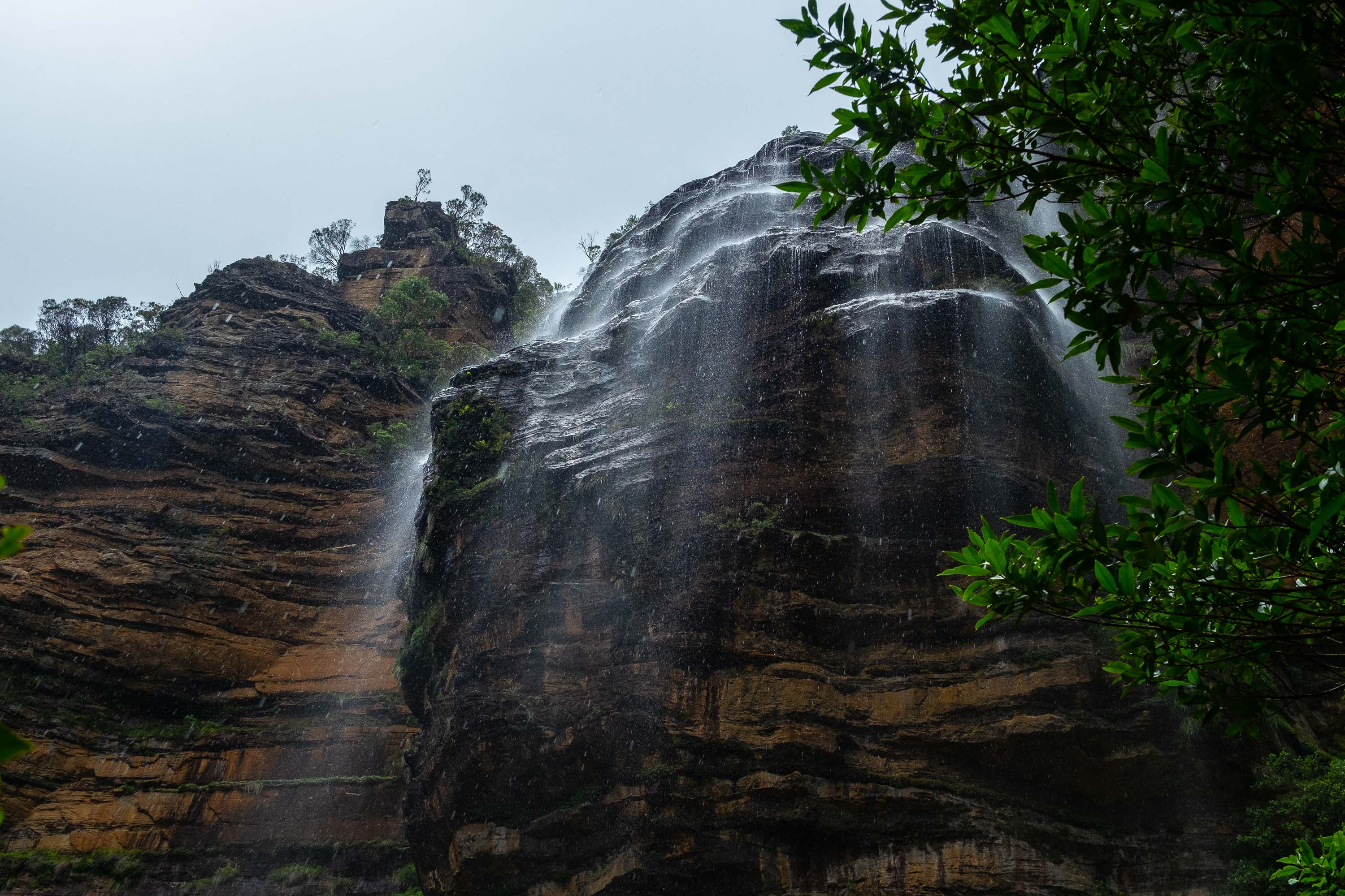 Blue mountains mljfwv