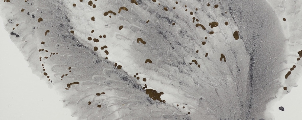 
        <div class='title'>
          banner 2 art store fronts
        </div>
       