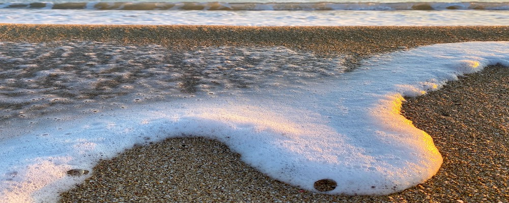 
        <div class='title'>
          Coastal serenity   copie
        </div>
       
        <div class='description'>
          
        </div>
      