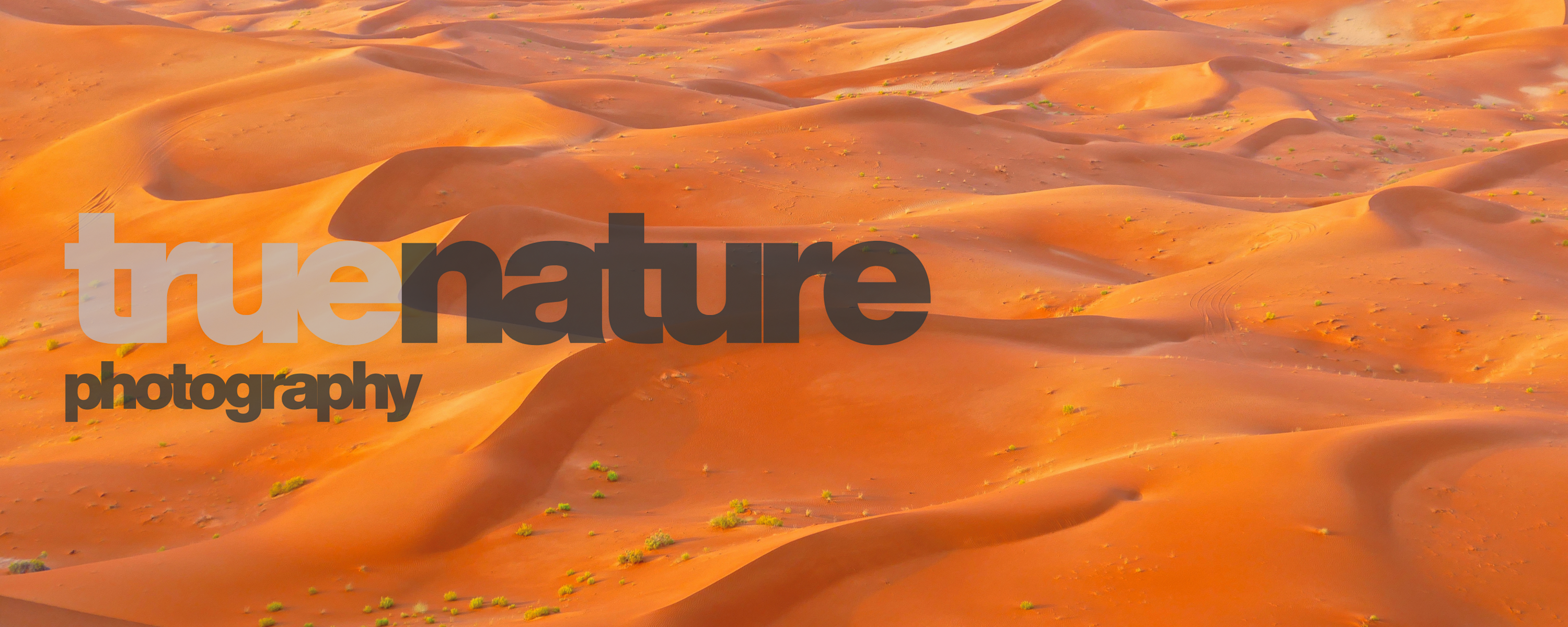 
        <div class='title'>
          1
        </div>
       