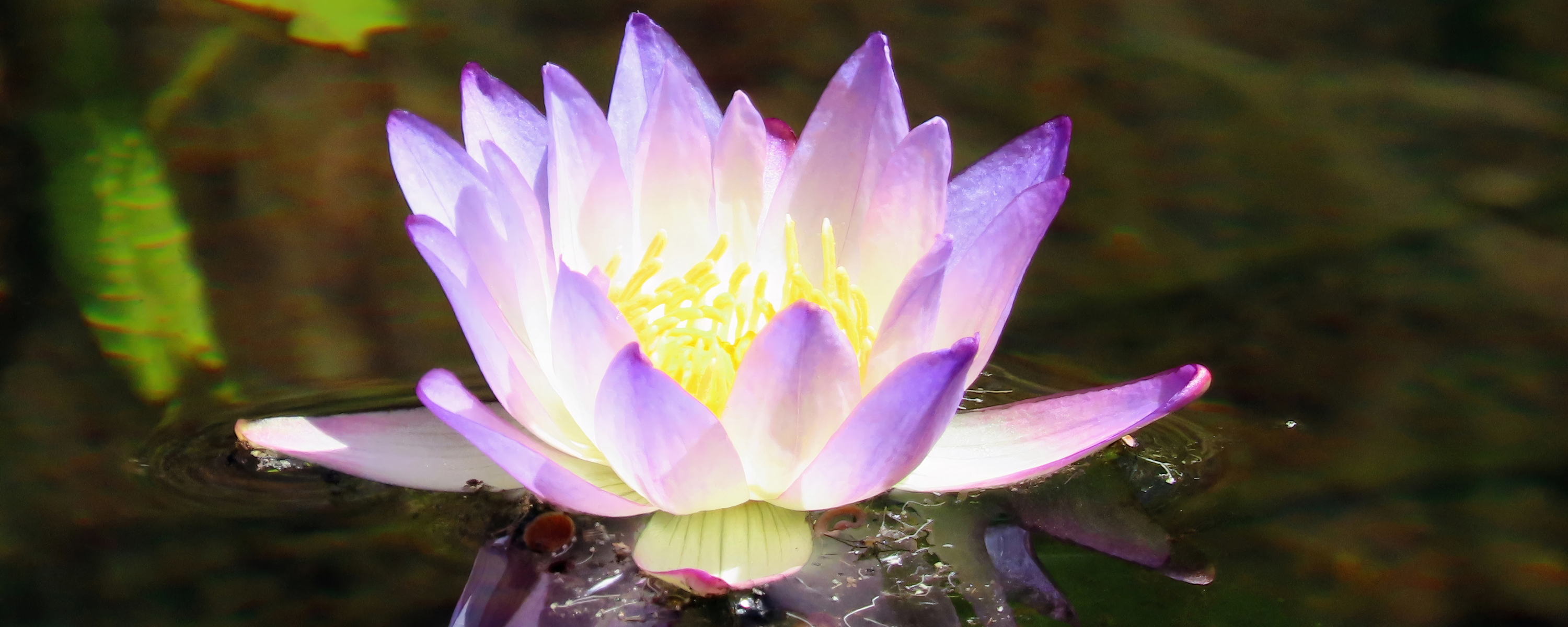 
        <div class='title'>
          2
        </div>
       