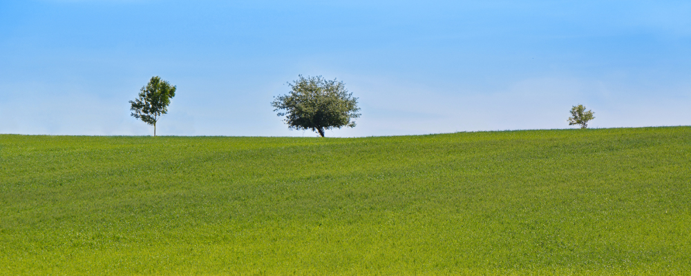 
        <div class='title'>
          Copy of Untitled Design (1)
        </div>
       