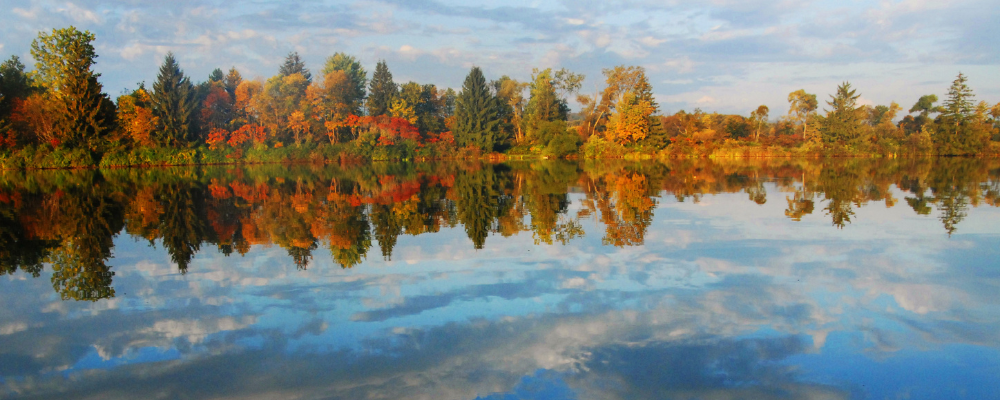 
        <div class='title'>
          Copy of Untitled Design (2)
        </div>
       