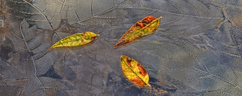 
        <div class='title'>
          Copy of Untitled Design
        </div>
       