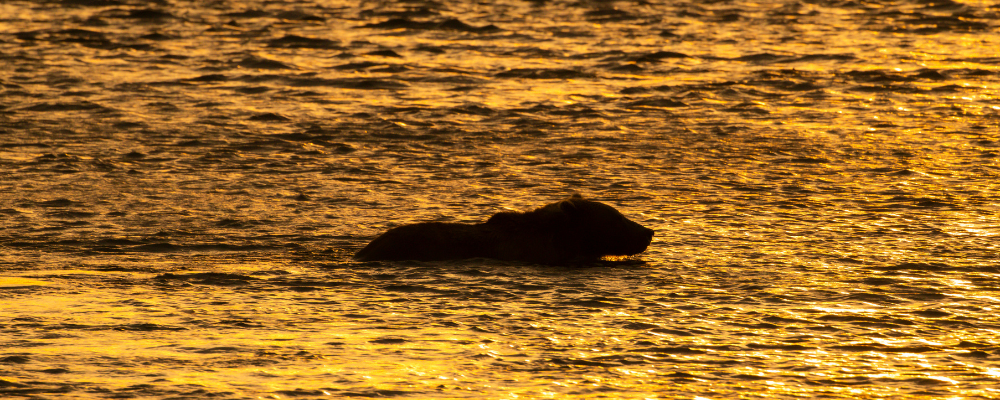 
        <div class='title'>
          Copy of Untitled Design (2)
        </div>
       