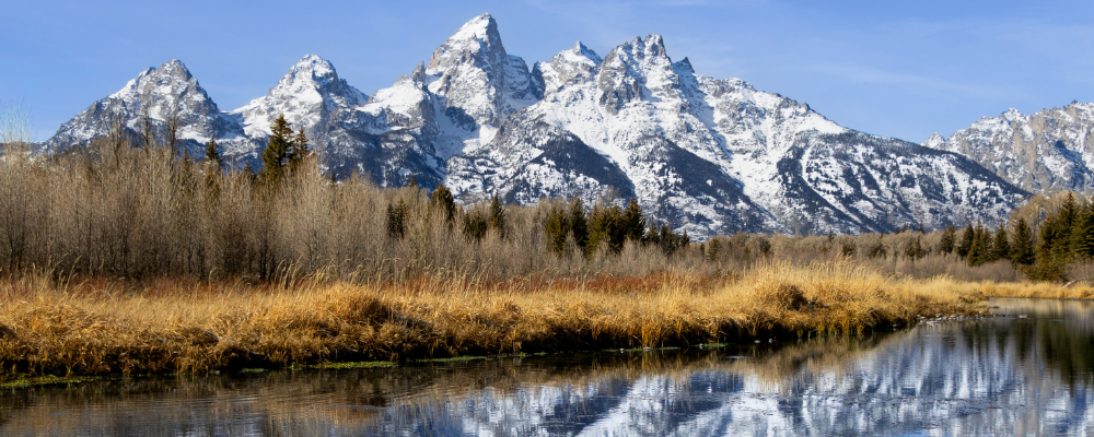 
        <div class='title'>
          Copy of Untitled Design (3)
        </div>
       