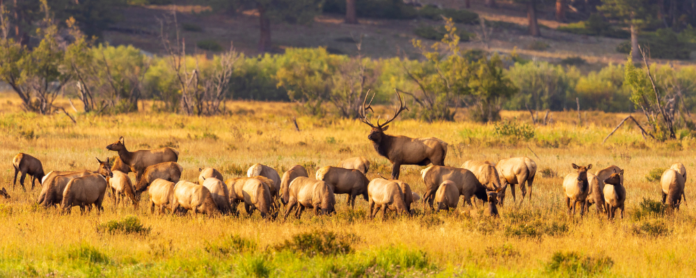 
        <div class='title'>
          Copy of Untitled Design
        </div>
       