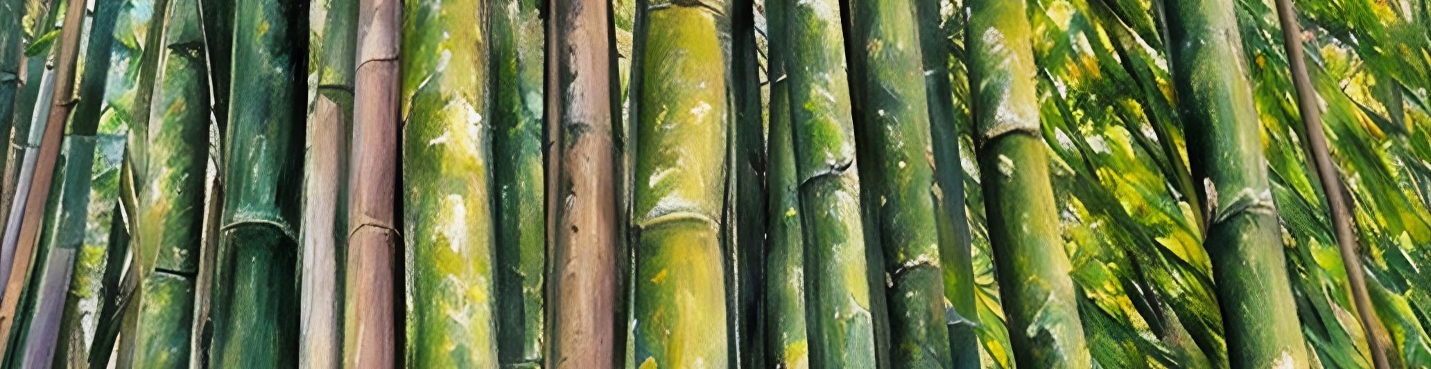 
        <div class='title'>
          Img 1563 Jenny Gayle LE auto x2 bw1zvz
        </div>
       