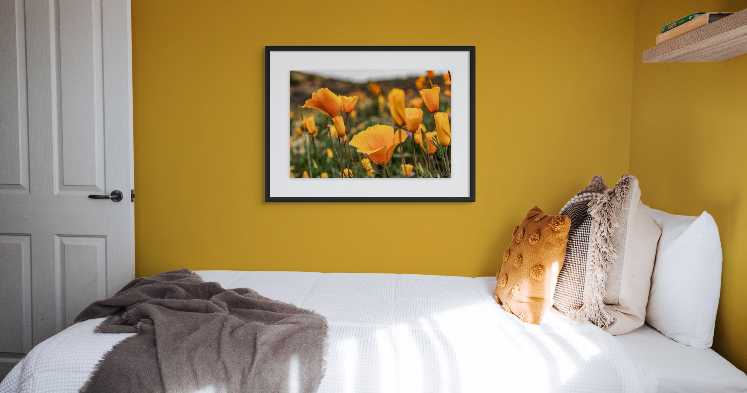 
        <div class='title'>
          POPPIES 03142024 JHEC3080
        </div>
       