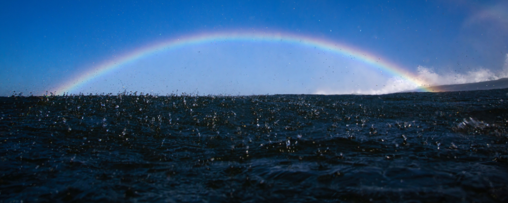 
        <div class='title'>
          Copy of Untitled Design (1)
        </div>
       