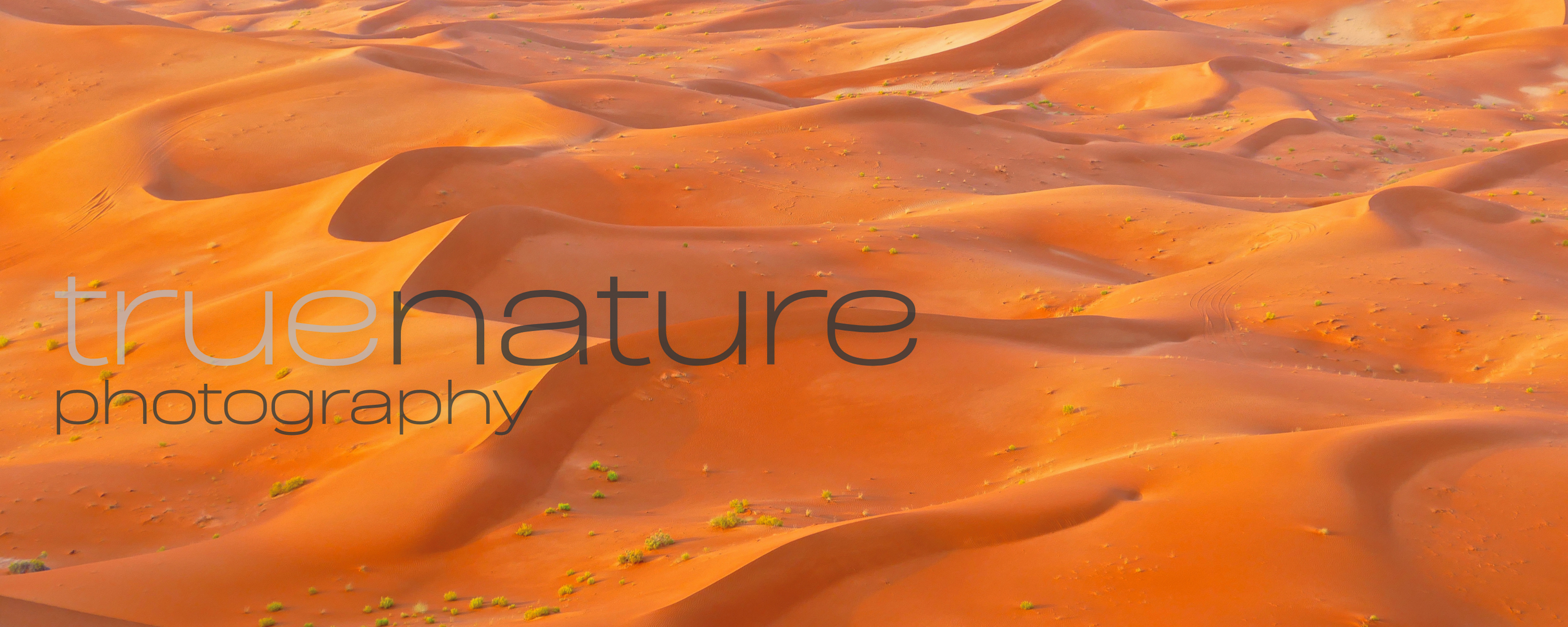 
        <div class='title'>
          1
        </div>
       