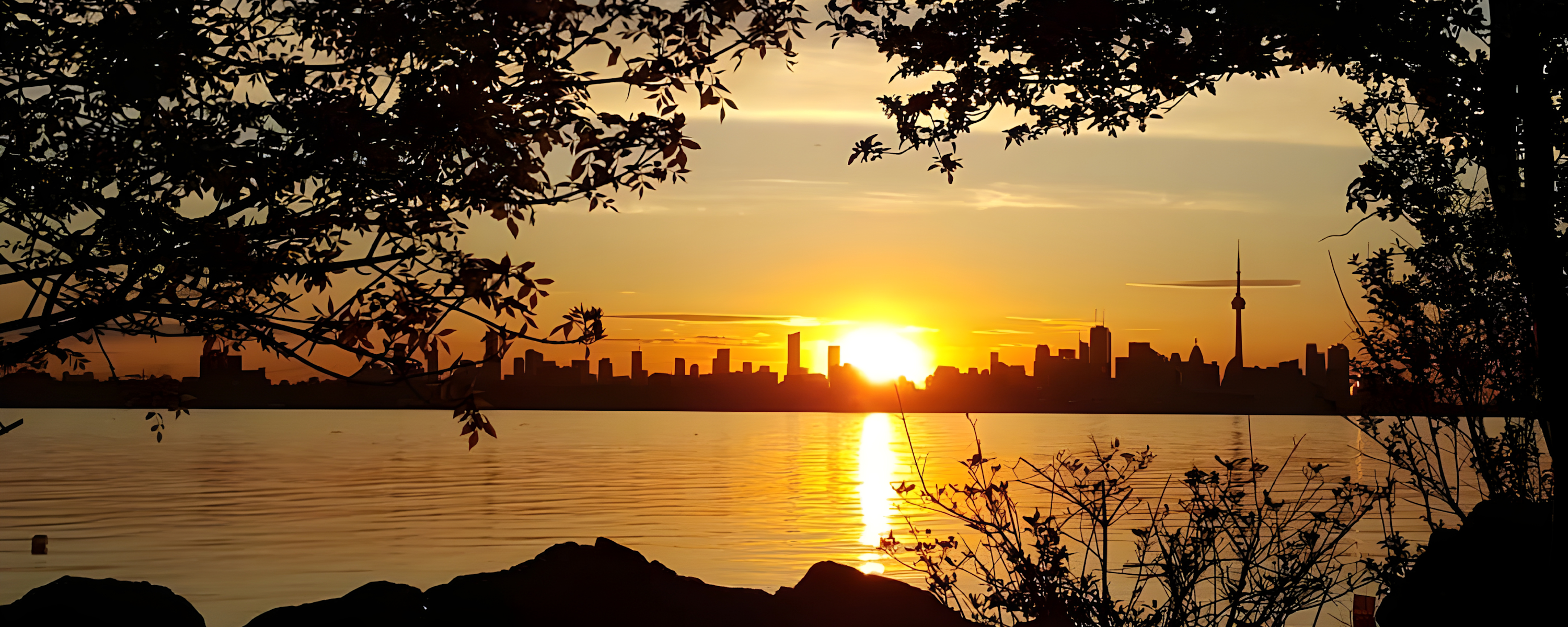 
        <div class='title'>
          BB3
        </div>
       