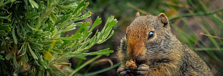 
        <div class='title'>
          250705 DSC8522
        </div>
       