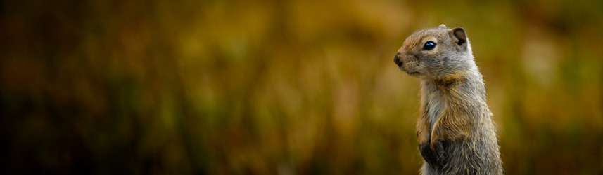 
        <div class='title'>
          250705 DSC8547 2
        </div>
       