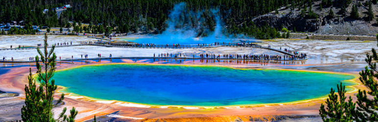 
        <div class='title'>
          250801 Z81 0015
        </div>
       