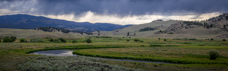 
        <div class='title'>
          250801 Z81 0530 2
        </div>
       