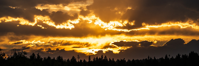 
        <div class='title'>
          250801 Z81 0583 3
        </div>
       