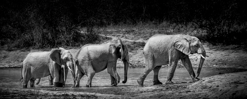 
        <div class='title'>
          Copy of Untitled Design (3)
        </div>
       