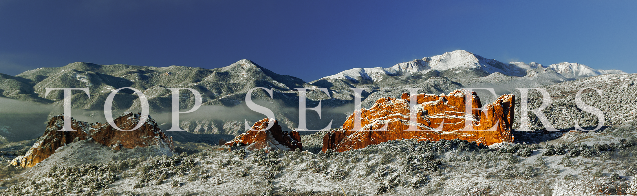 
        <div class='title'>
          TOP SELLERS BANNER
        </div>
       