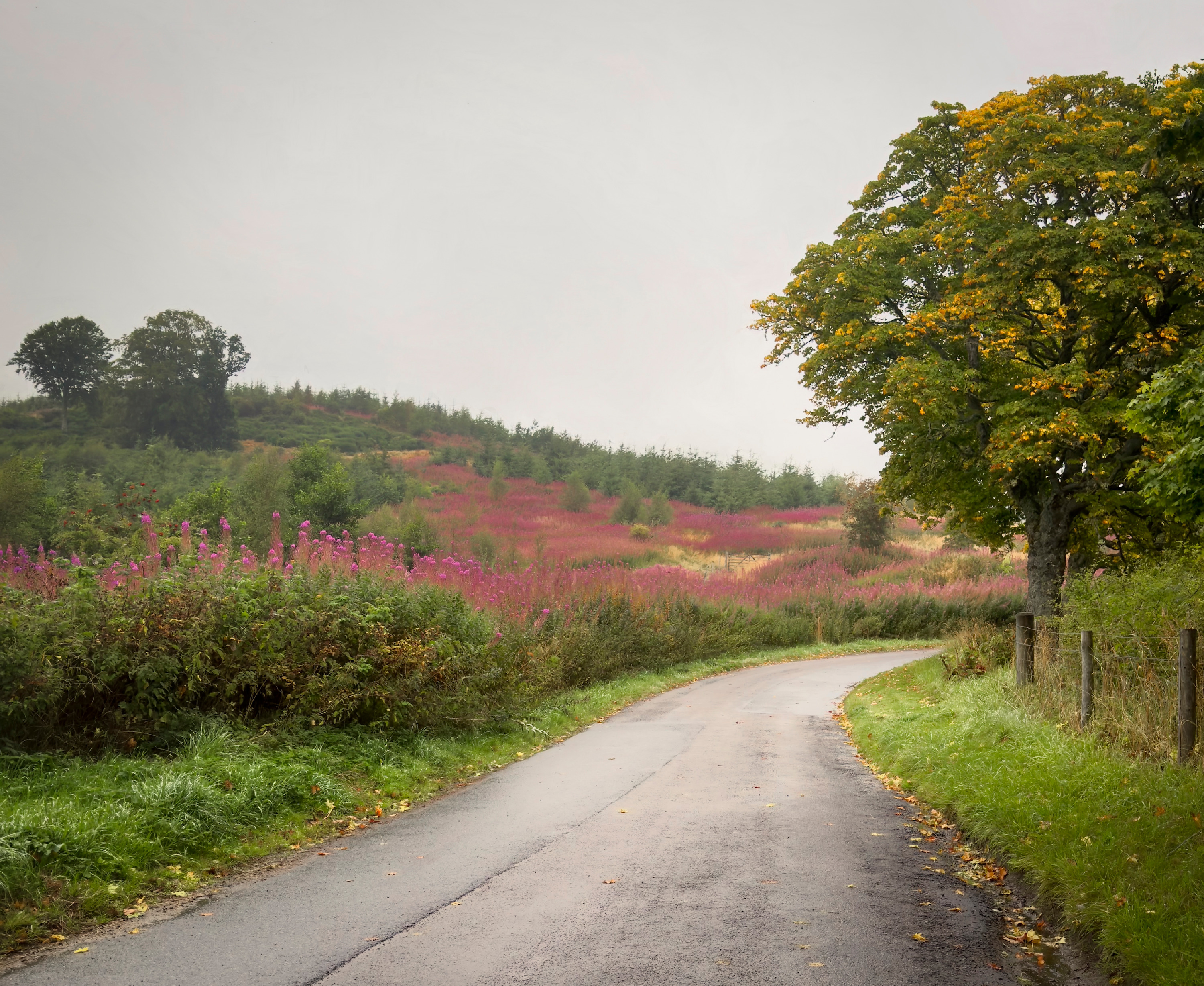 Aroundthebend qs0etn