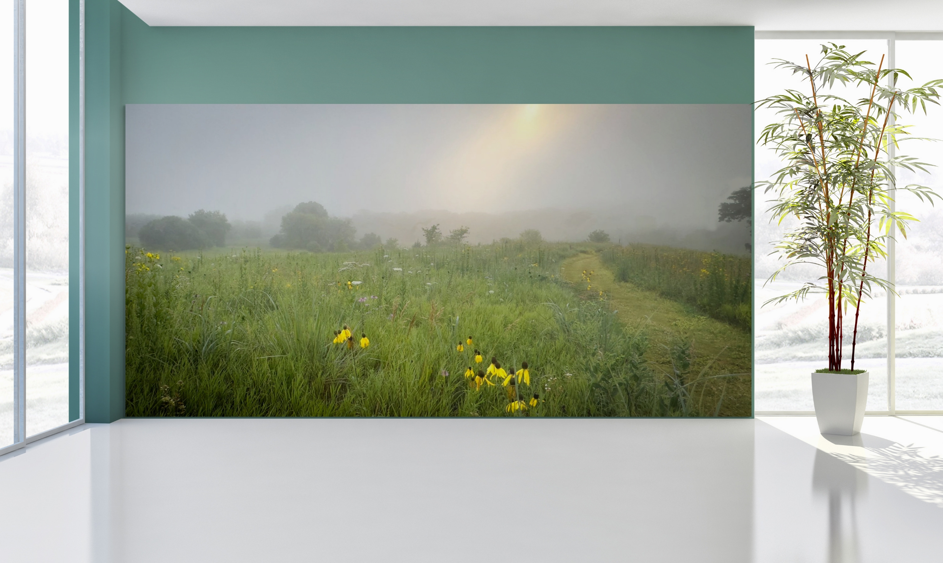 Foggymorn1 full cw5fbs