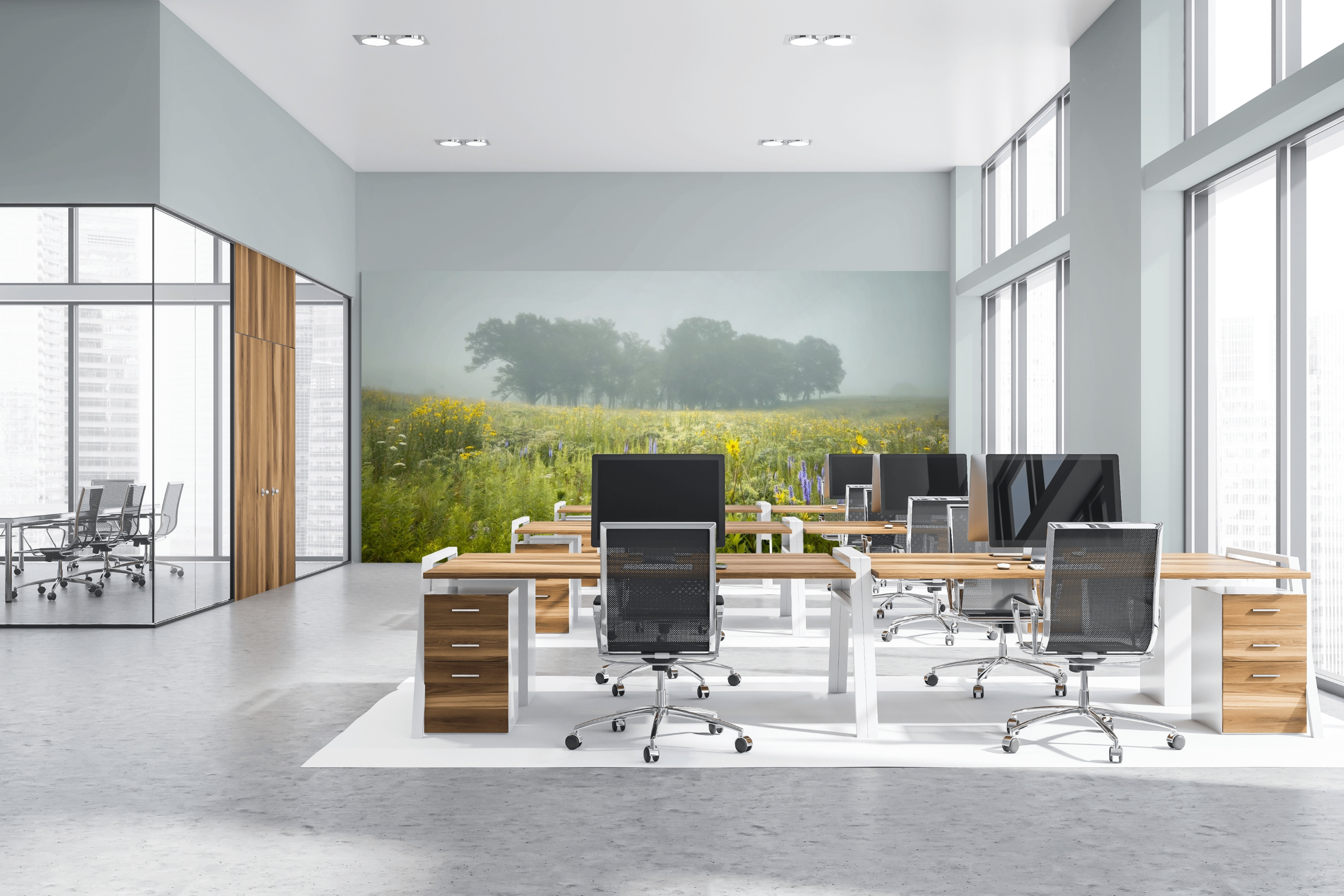 Foggymorn2 full hjgnow