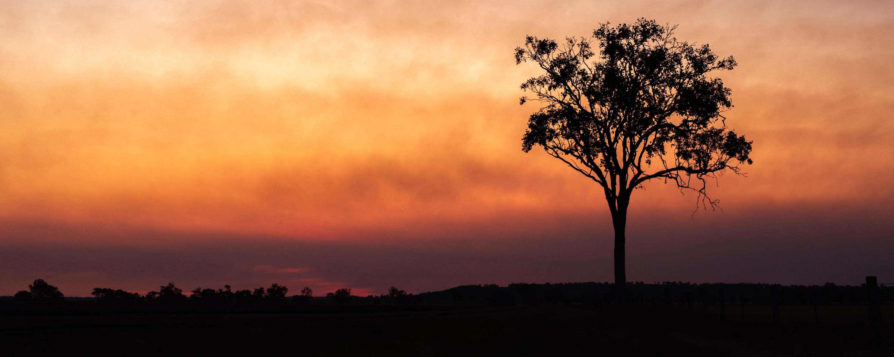 
        <div class='title'>
          Untitled design
        </div>
       