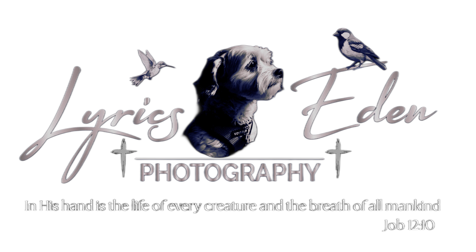 Lyrics Eden Photography