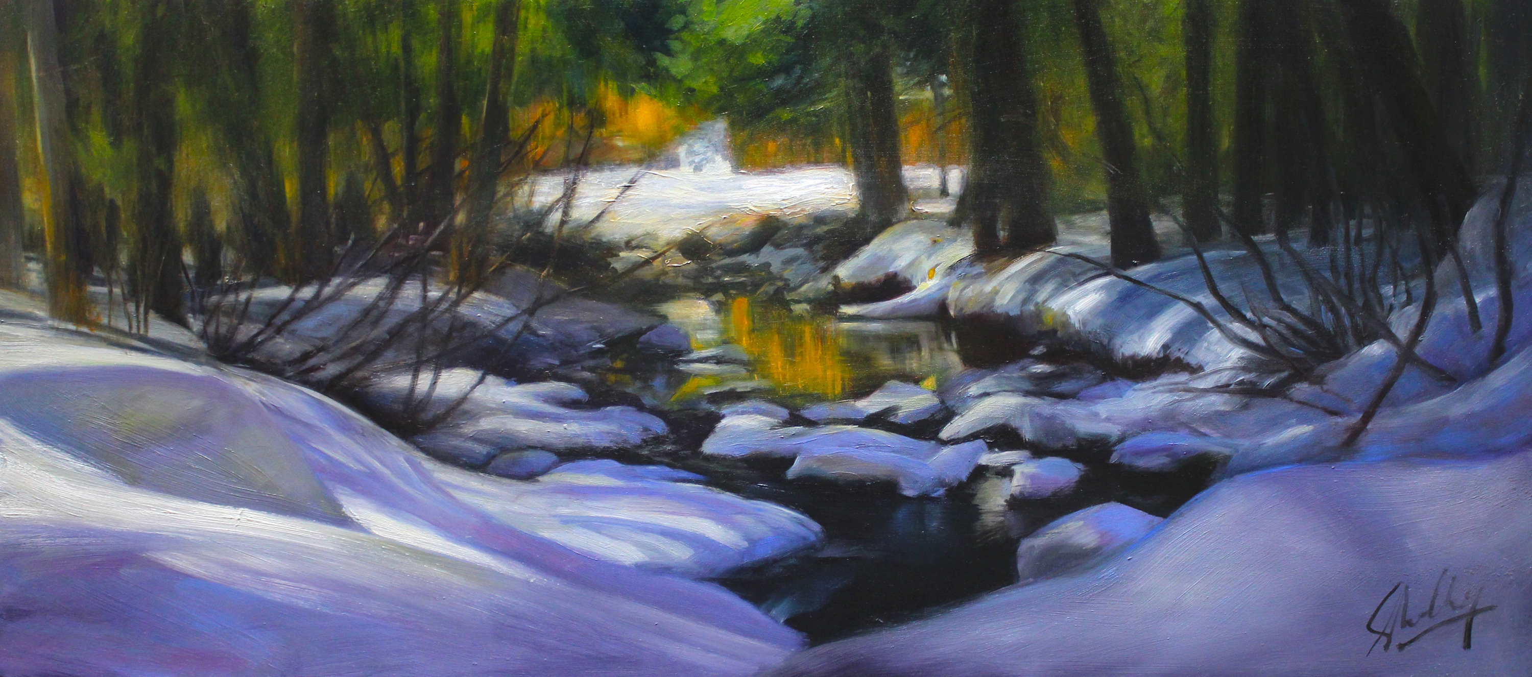 
        <div class='title'>
          Celio Reflected, Tahoe Banner
        </div>
       