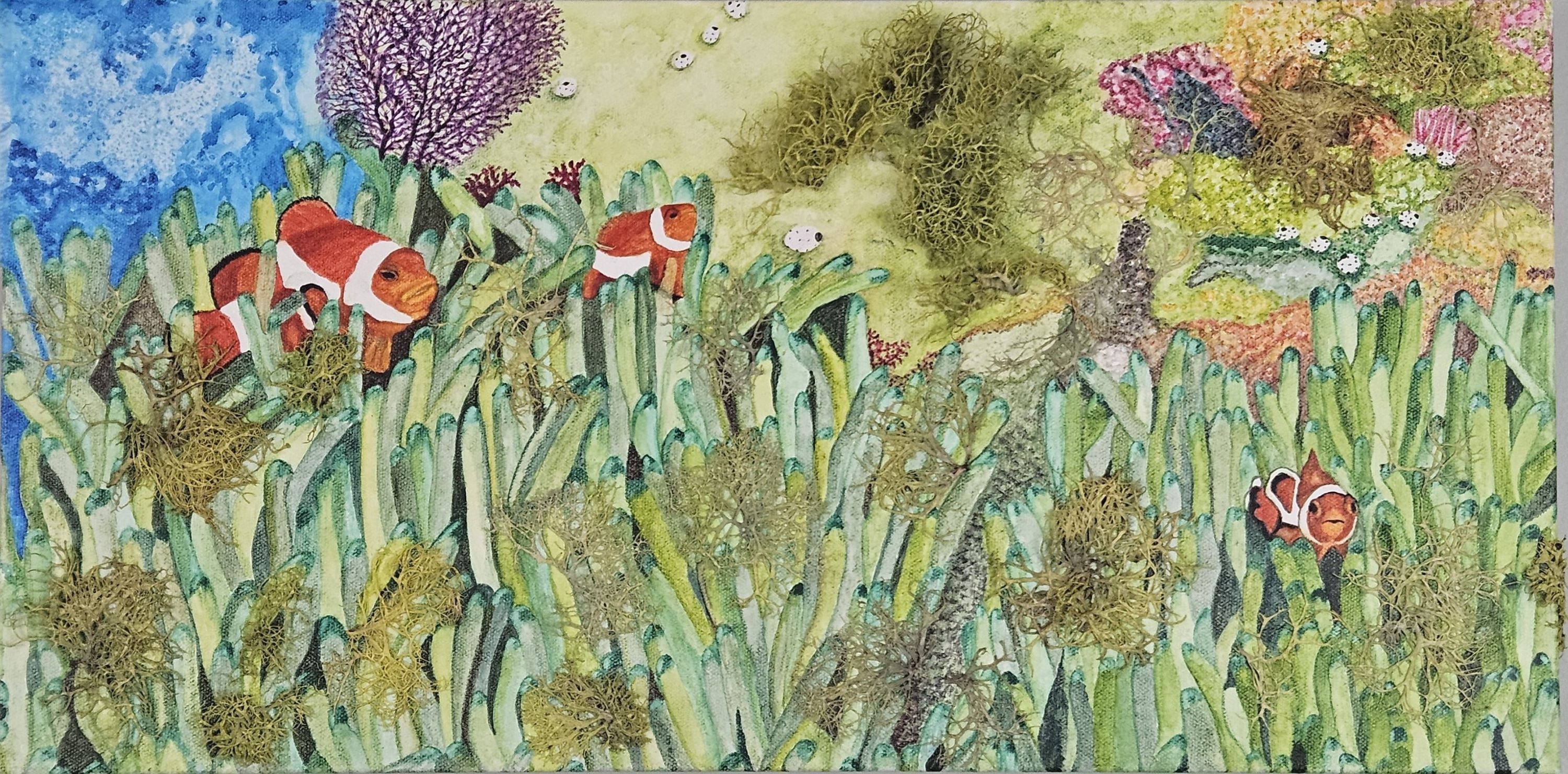 Clownfish front jmbeisell yi4f3f