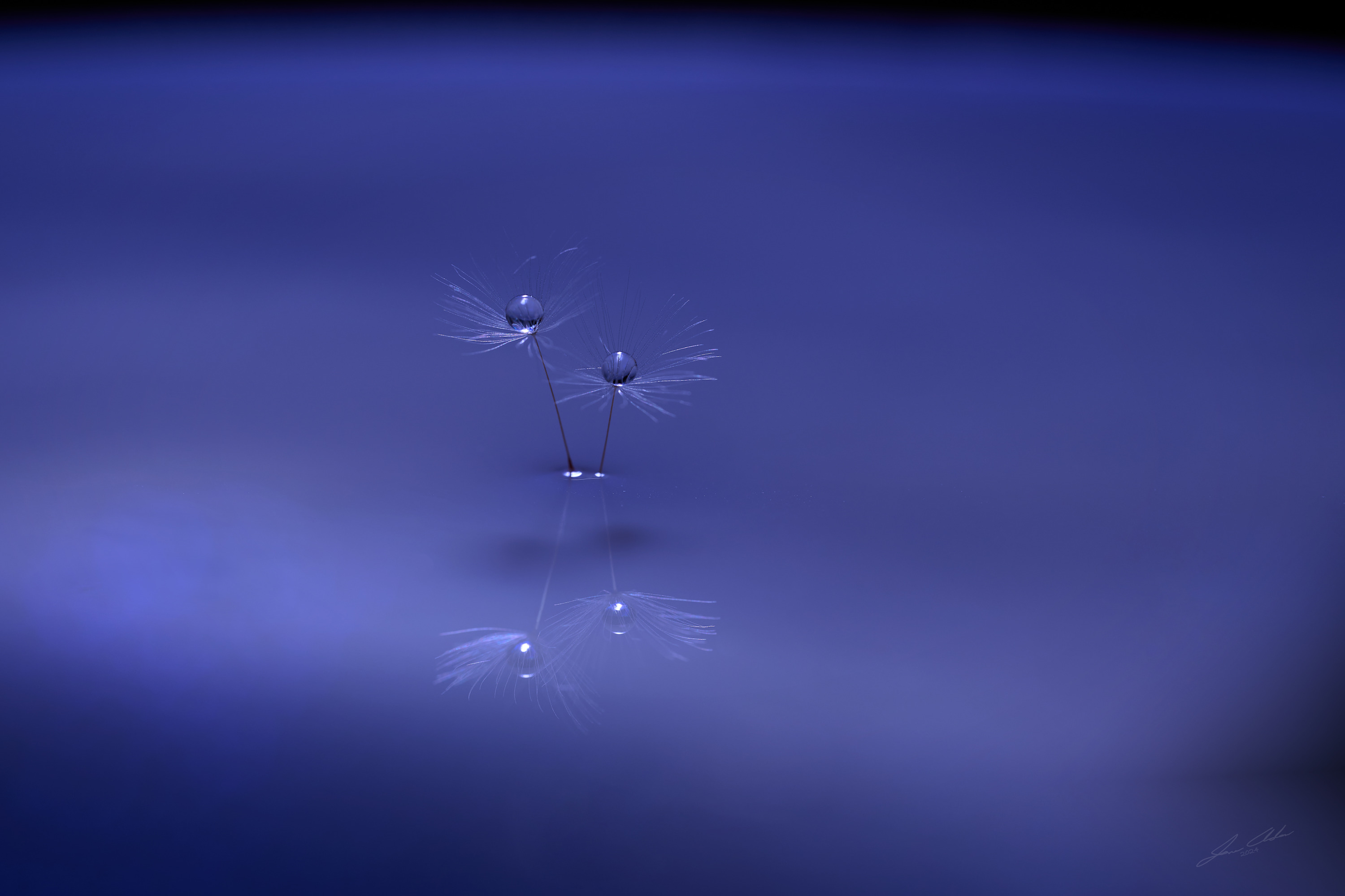 Two drops 921z 4295 vbcmzp