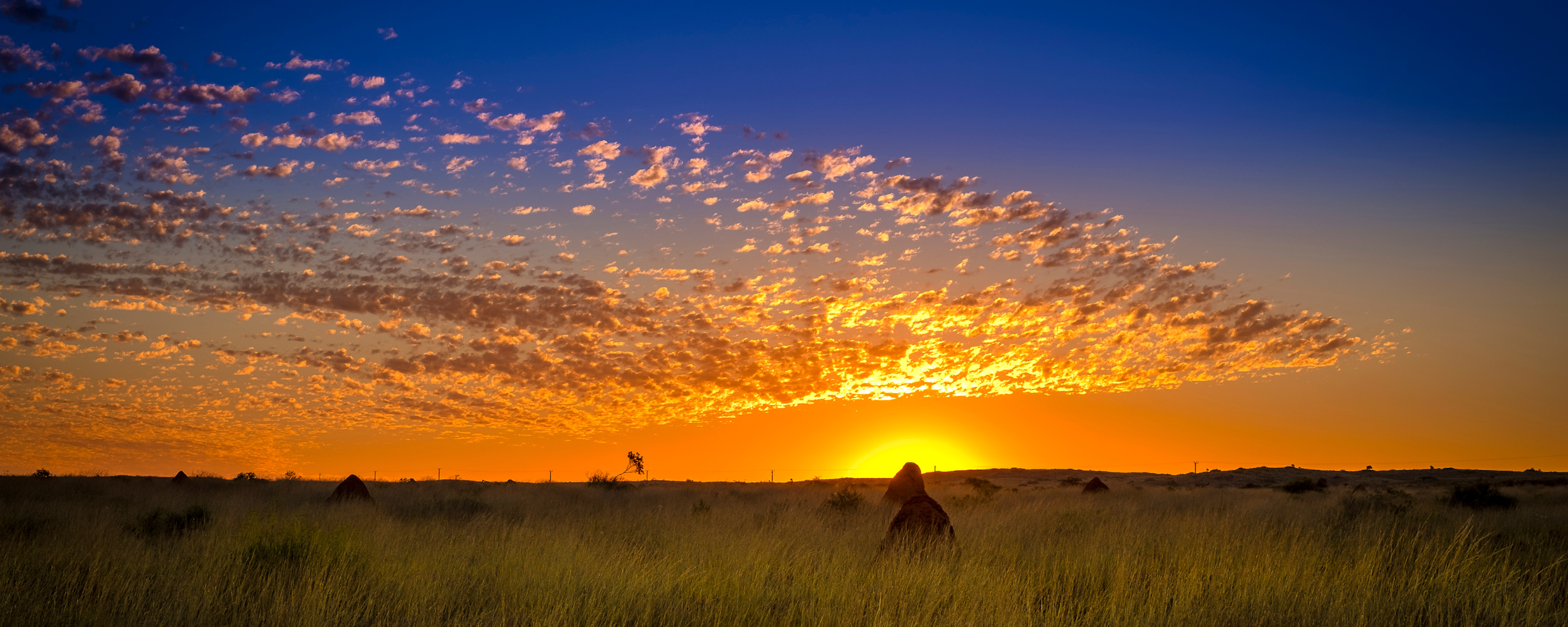 
        <div class='title'>
          5
        </div>
       