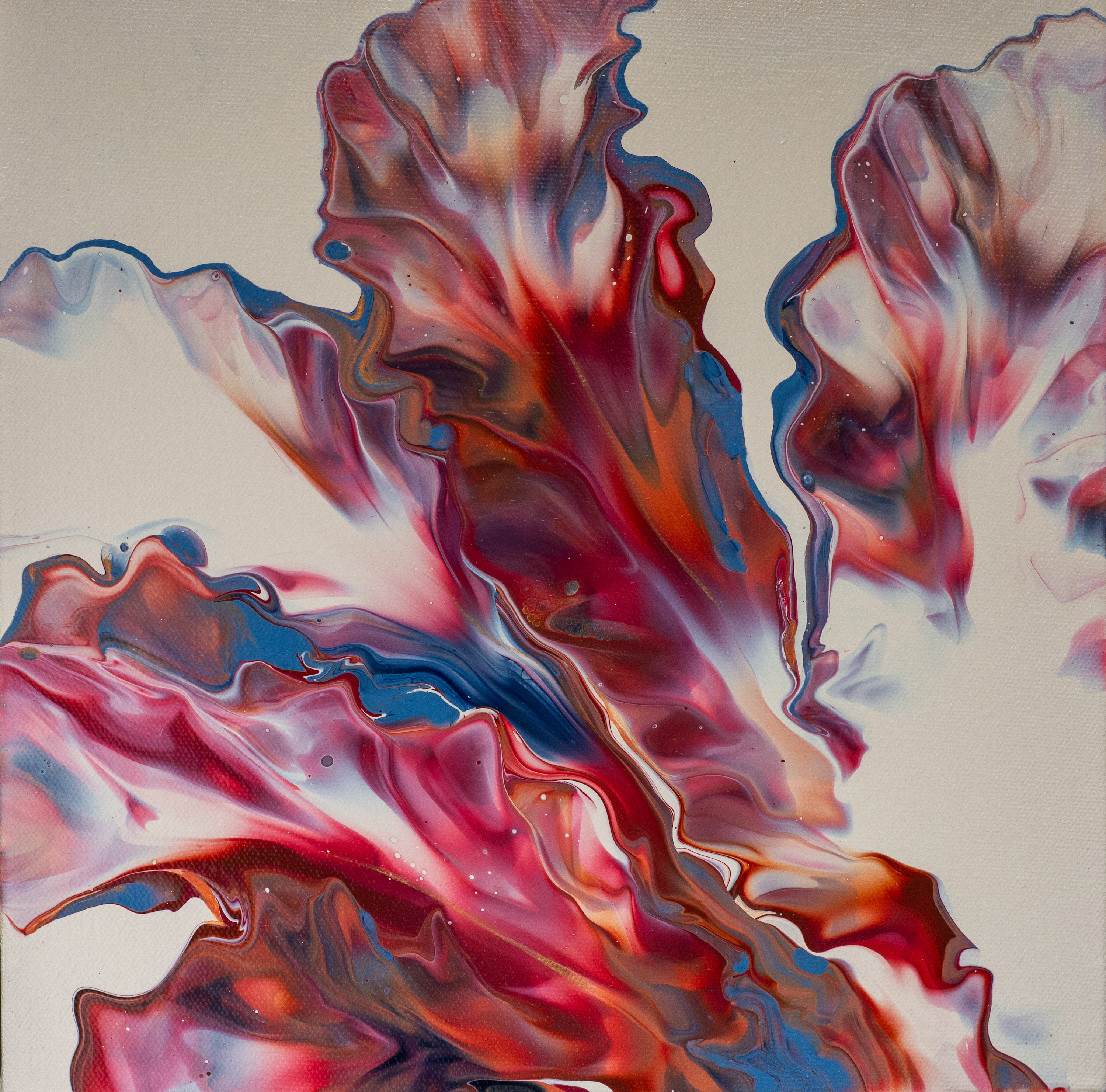 Vibrant tide 12x12 lhrv9d