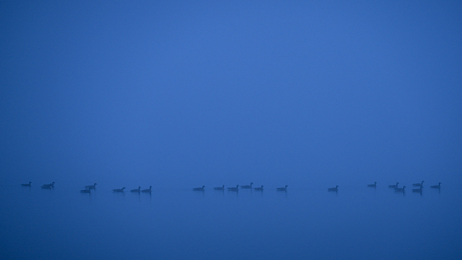 
        <div class='title'>
          Drift Banner
        </div>
       