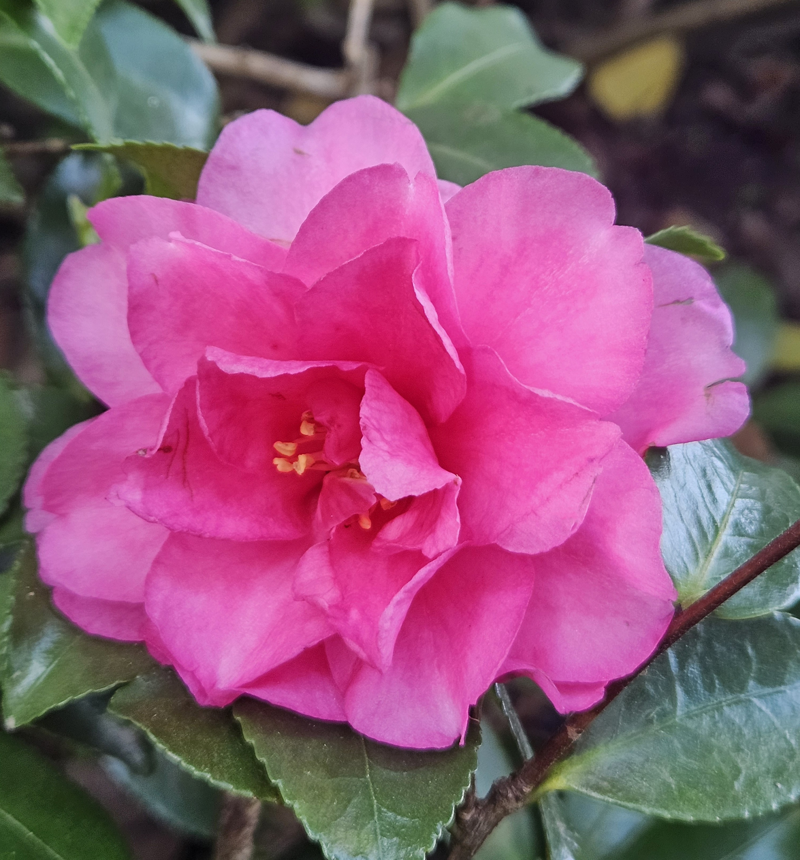 
        <div class='title'>
          2023 11 26 11
        </div>
       