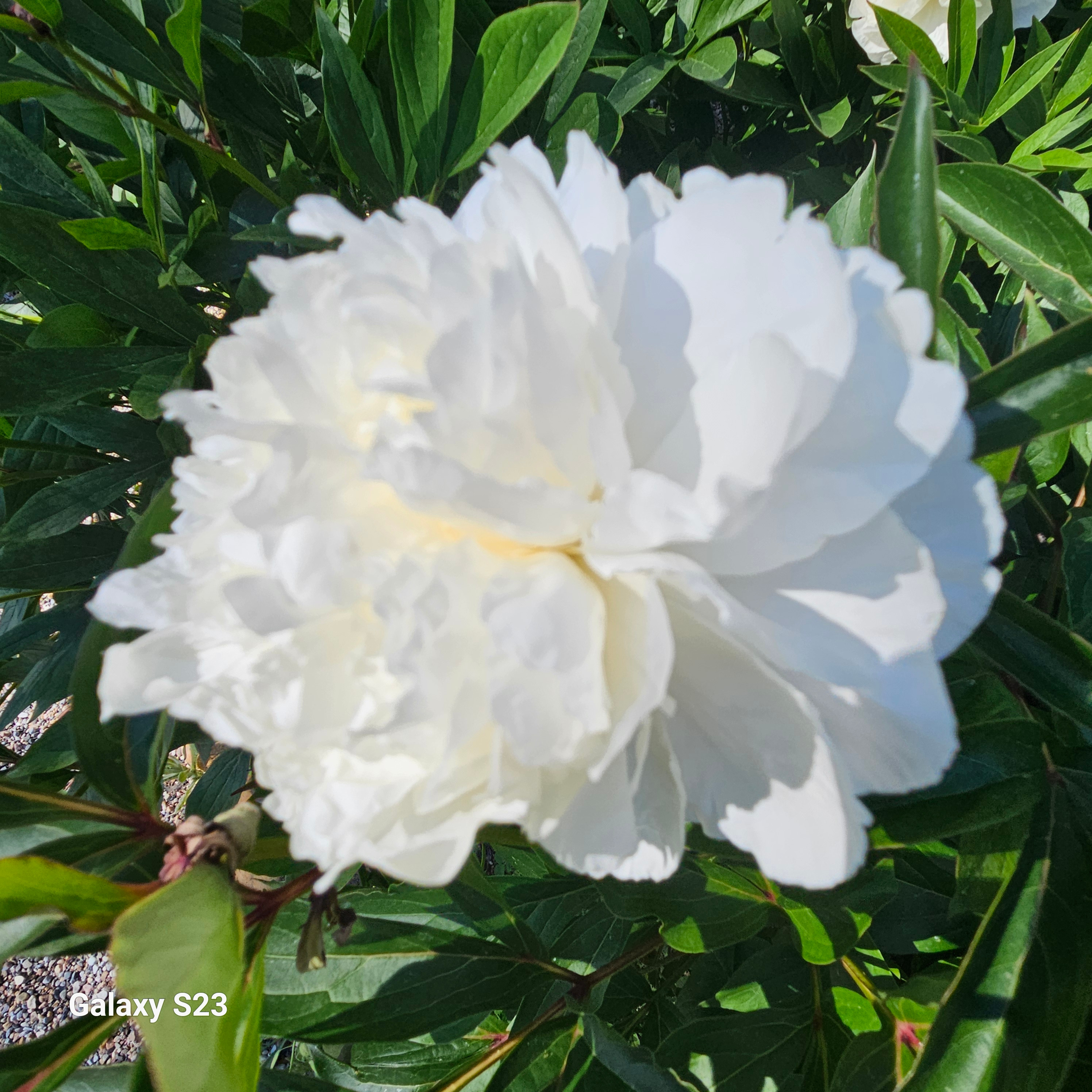 
        <div class='title'>
          2024 06 12 15
        </div>
       