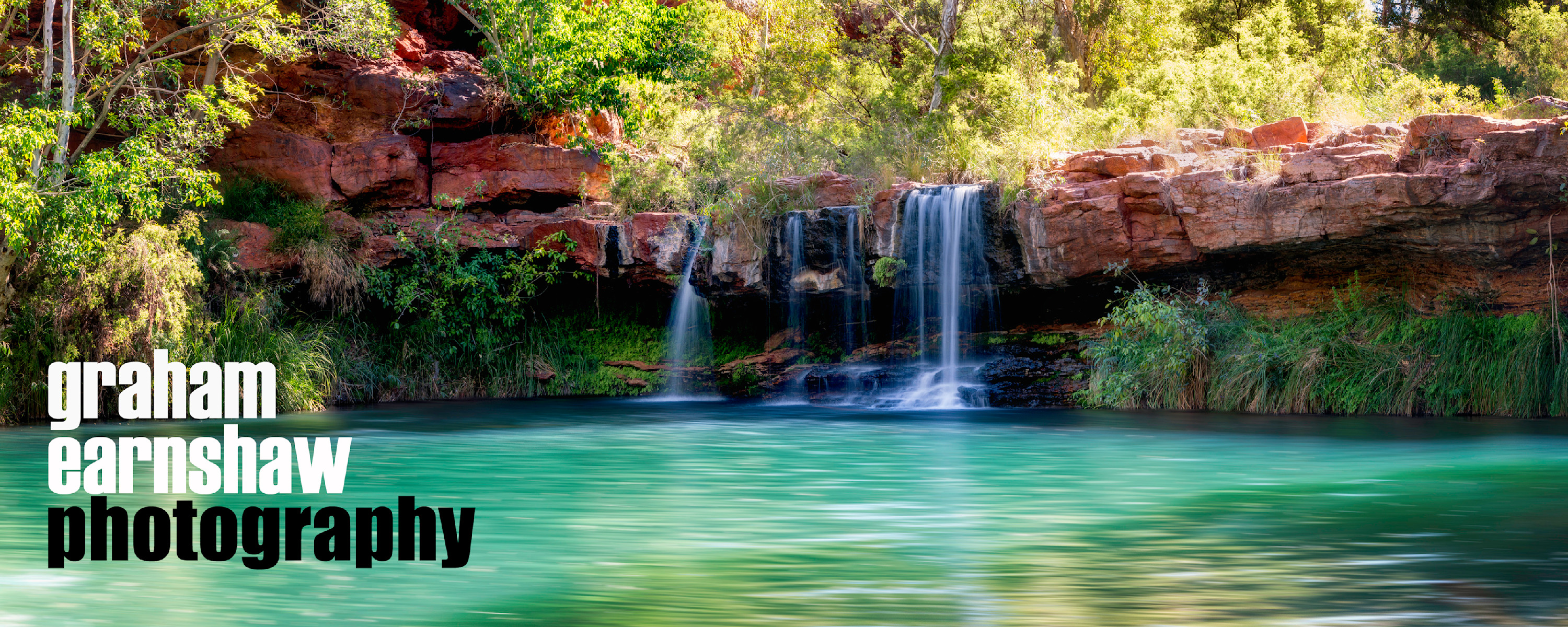 
        <div class='title'>
          BANNER Fern Pool
        </div>
       