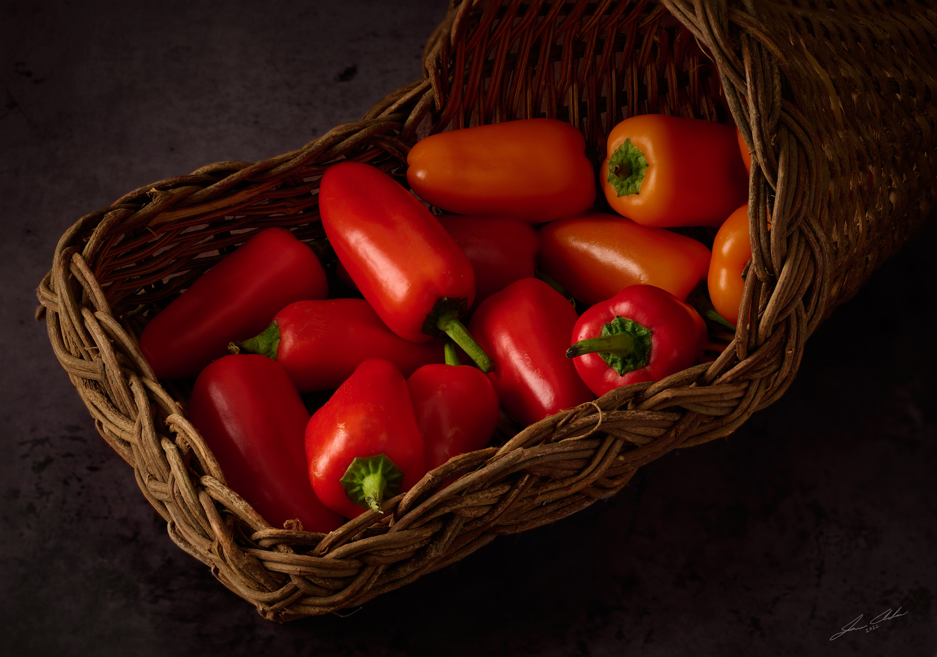 Fs source color as design 1582 2 1 yzdr3c