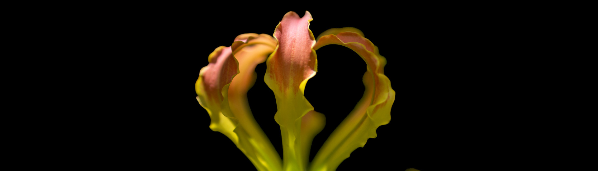 
        <div class='title'>
          20250126 105327550 iOS 1
        </div>
       