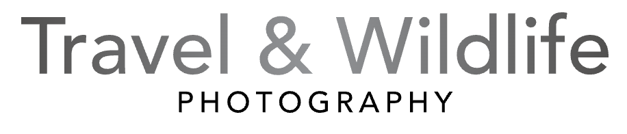 Mark Springate Travel and Wildlife Photography