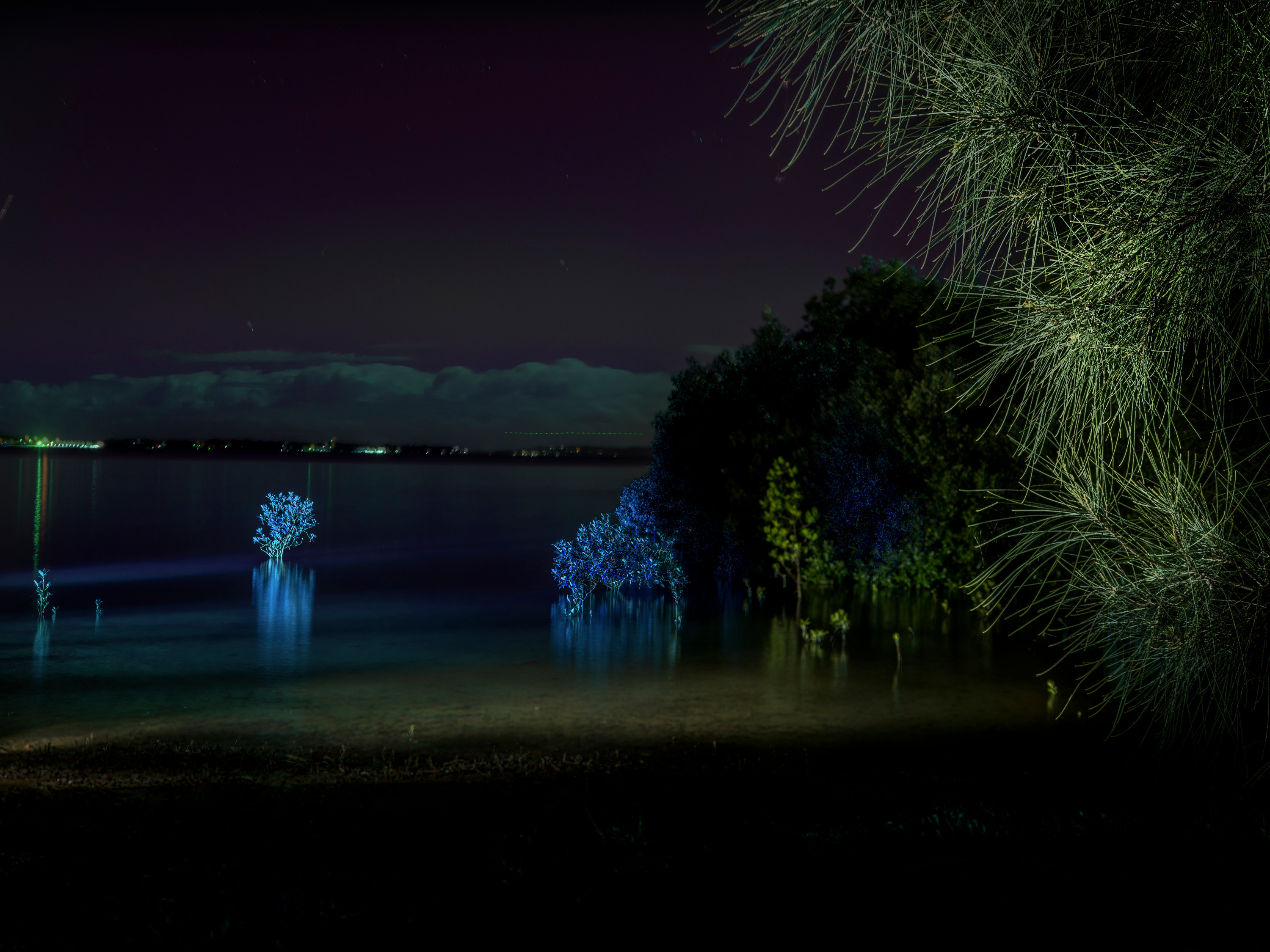 Redland bay new year new spaces au post cu3v2o