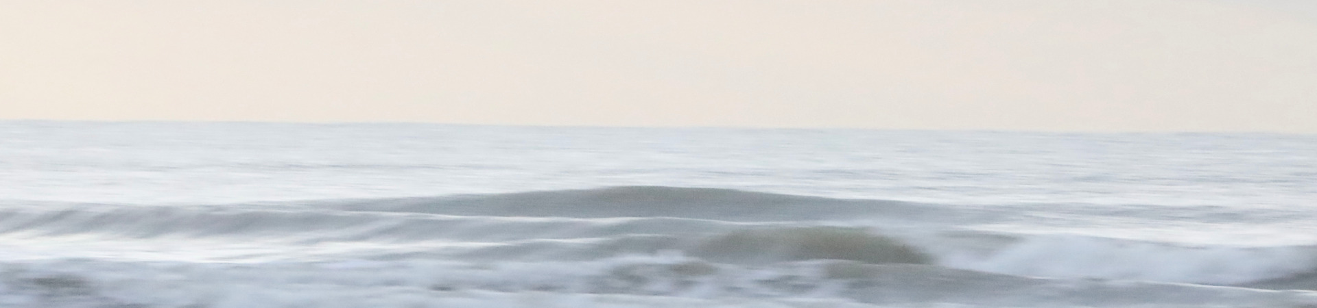 
        <div class='title'>
          5S0A2987 ytl9hs (1)
        </div>
       