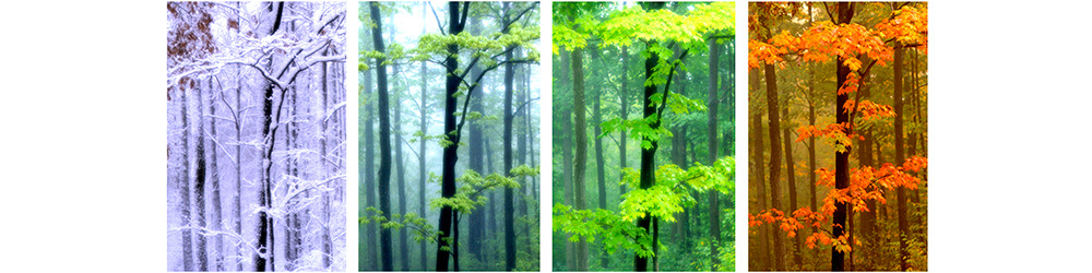 
        <div class='title'>
          site banner 2
        </div>
       