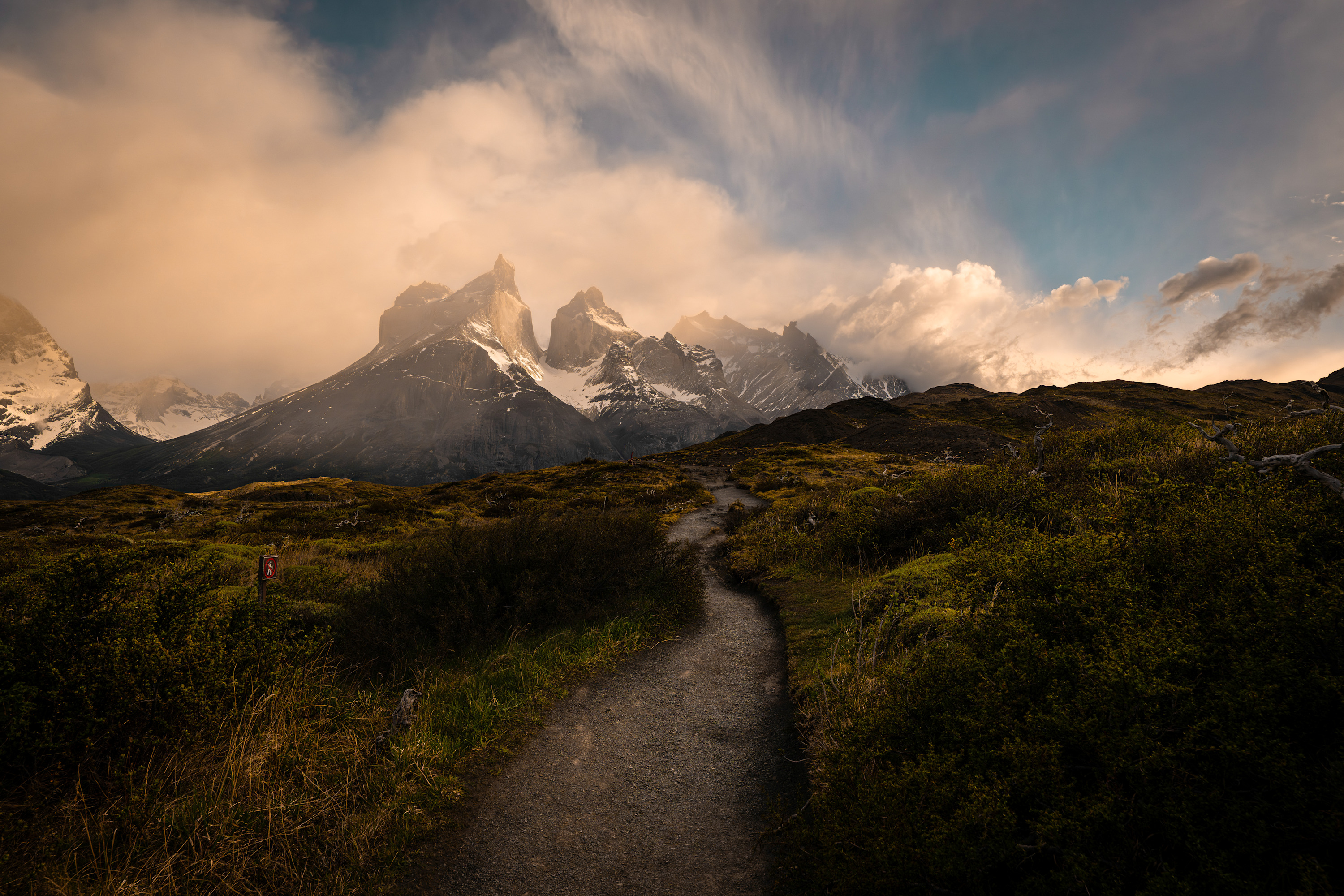 
        <div class='title'>
          The Way Forward
        </div>
       