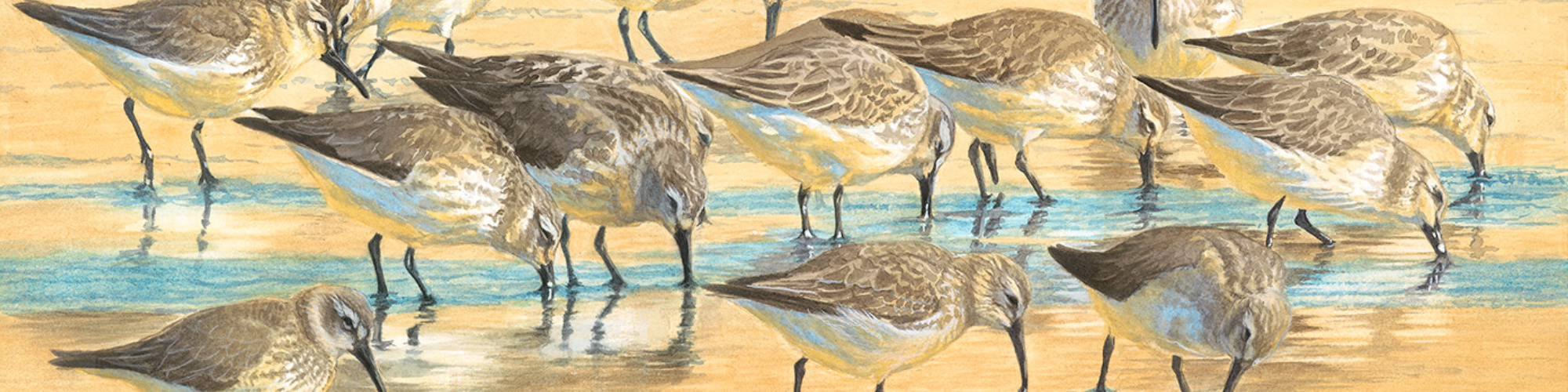 
        <div class='title'>
          New Project (2)
        </div>
       