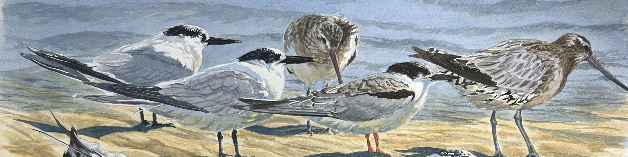 
        <div class='title'>
          New Project
        </div>
       